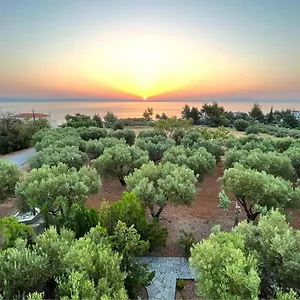 Kahlenberg Διαμέρισμα